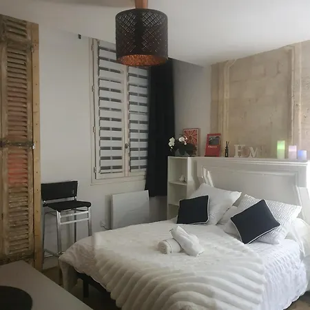 Little Saint Au Coeur Historique De דירה בורדו