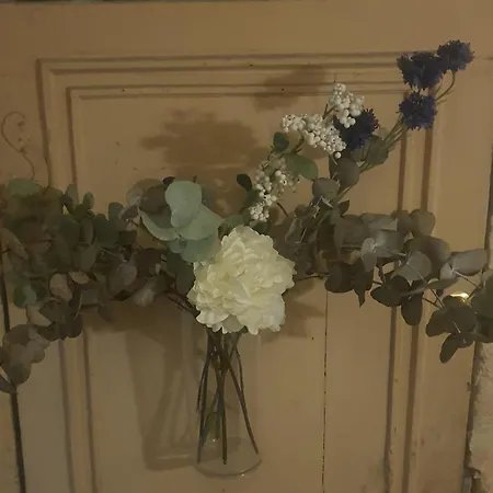 Little Saint Au Coeur Historique De דירה בורדו