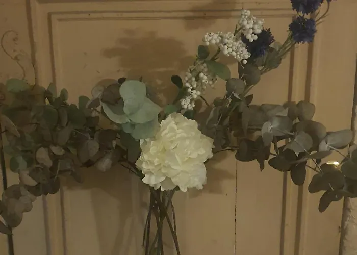 Little Saint Au Coeur Historique De דירה בורדו